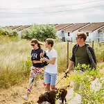 Zeegalm * Middelkerke