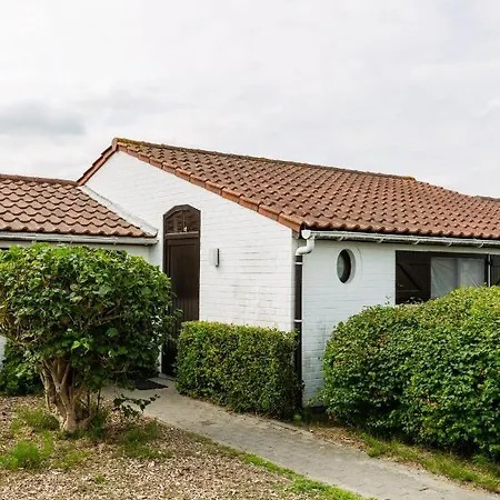 Zeegalm * Middelkerke