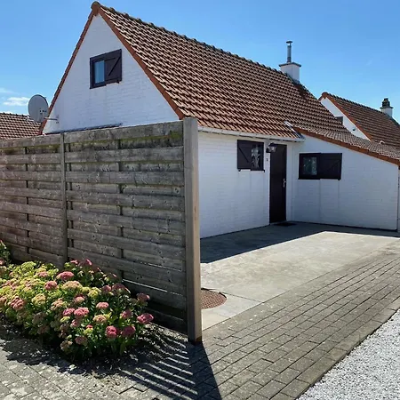 Zeegalm Middelkerke