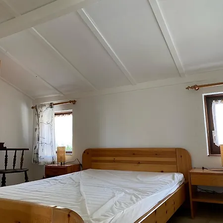 Zeegalm * Middelkerke