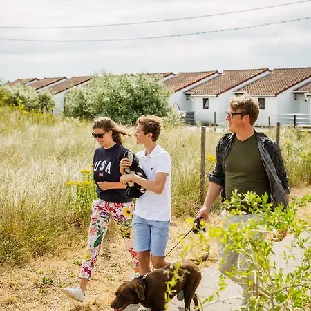 Zeegalm * Middelkerke